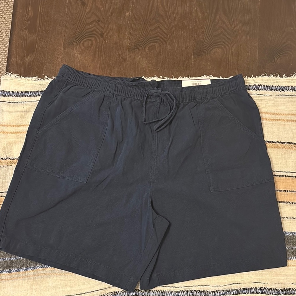 Women’s Style&Co. Pull on Blue Shorts